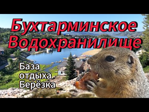 Видео: Бухтарма | Казахстан | мы снова на базе отдыха Берёзка