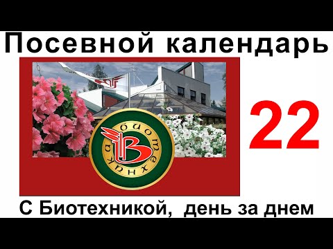 Видео: Выращиваем с Биотехникой. 7 мая.Сажаем петунию на ПМЖ
