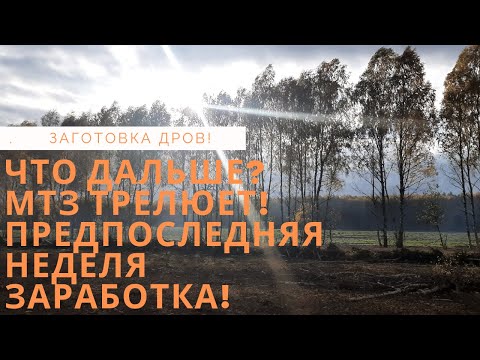 Видео: Что ждёт дальше? МТЗ заготовка дров! Предпоследняя неделя заработка!!