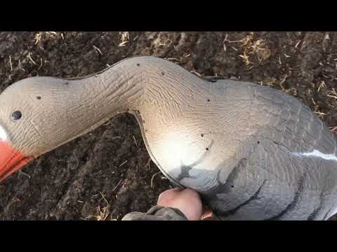 Видео: Расстановка гусиных чучел. Хорошо работает. Охотничий опыт.