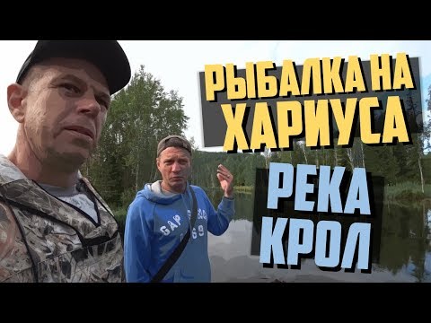 Видео: Рыбалка на хариуса / Заброшенный дом / Река Крол