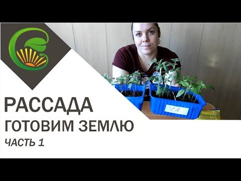 Видео: Как приготовить землю для рассады без прокаливания и марганца