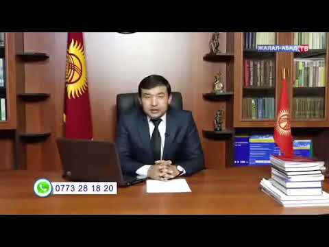 Видео: Аялым балдарды талашып жатат, кимде калыш керек?