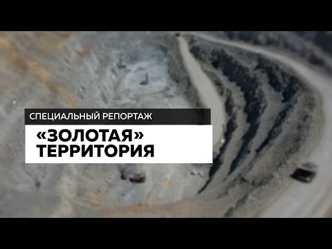 Видео: Золотая территория - специальный репортаж АоТВ