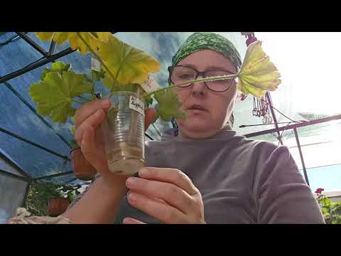 Видео: Болталка 