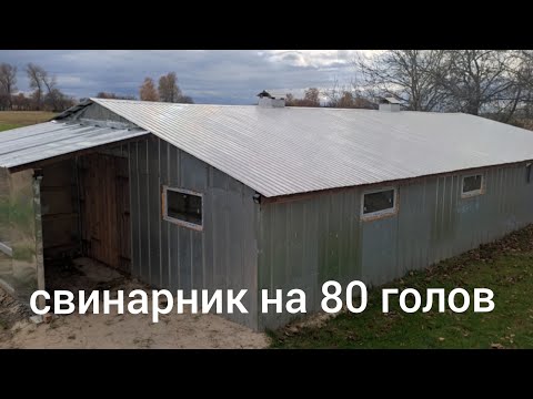 Видео: свинарник сарай на 80 голов