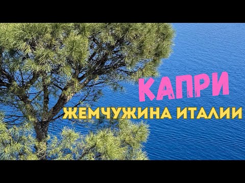 Видео: 23 мая 2025 г.