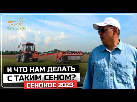 Видео: Сенокос 2023 | Такого сюжета на полях еще не было | Деревенские будни