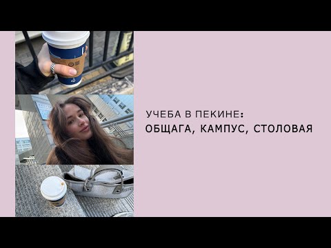 Видео: Учеба в Китае: универ, общежитие, столовая