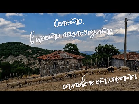 Видео: Селото, в което лешоядите са повече от хората - Стари чал - Happy Green Family еп.30