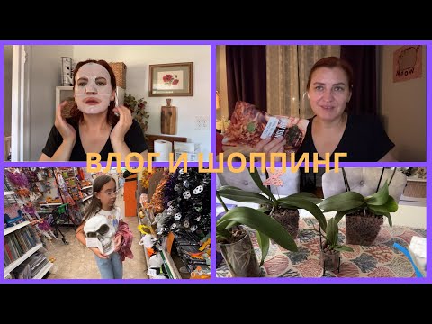 Видео: ХОЧУ ПОМОЛОДЕТЬ / МОИ БЕДНЯЖКИ ОРХИДЕИ / DOLLAR TREE / ВСЁ ДЛЯ ХЭЛЛУИНА И НЕ ТОЛЬКО