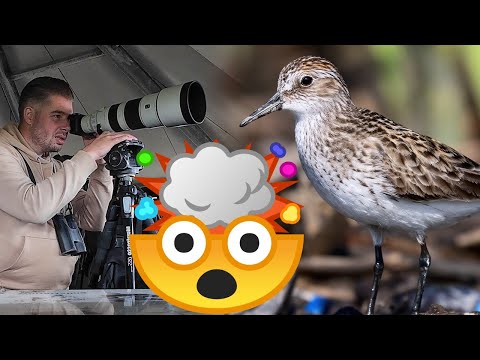 Видео: Как я мог так ошибиться?