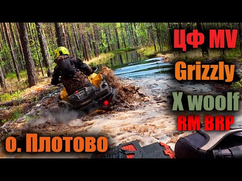 Видео: Квадроциклы на маршруте к озеру Плотово