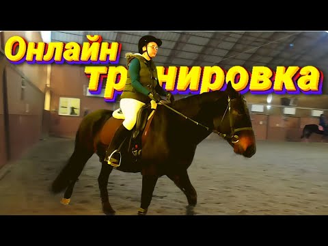 Видео: Онлайн тренировка. Строевая рысь, полевая посадка, работа шенкелем