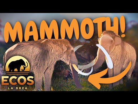 Видео: Экосистема: Ла-Бреа МАМОНТ! Всё, что мы знаем, и даже больше! | Экосистема: Ла-Бреа