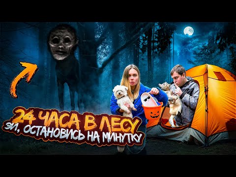Видео: 24 ЧАСА ВЫЖИВАЕМ В ЛЕСУ ЭЙ, ОСТАНОВИСЬ НА МИНУТКУ С КОТОМ И СОБАКОЙ