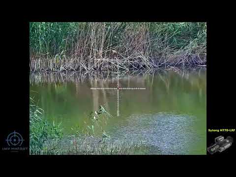 Видео: Sytong HT70-LRF картинка днём