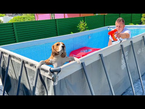 Видео: ШЕРЛОК 24 ЧАСА В БАССЕЙНЕ ЧЕЛЛЕНДЖ. БРОС ШОУ ПЕТ