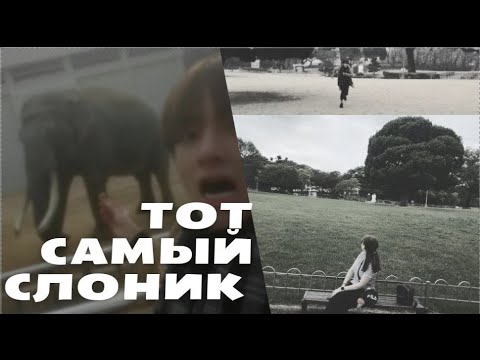 Видео: Райончик где жил Тэхен(BTS)/Тот самый знаменитый слоник Тэхена/Прогулка по Тэгу/ЧАСТЬ 2/KOREA VLOG