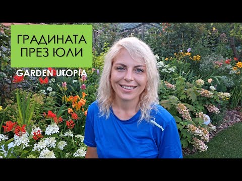 Видео: Обиколка на градината през ЮЛИ