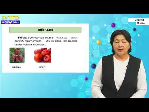 Видео: 11-класс |  Химия |  Химиялык байланыштар жана заттардын түзүлүштөрү