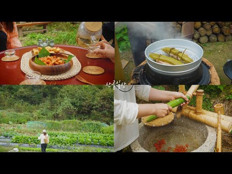 Видео: Различные блюда, приготовленные из фасоли размером с предплечье/Повседневная жизнь в деревне