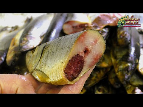 Видео: Друзья, делюсь моим рецептом, селедки холодного копчения, процесс долгий, но оно того стоит
