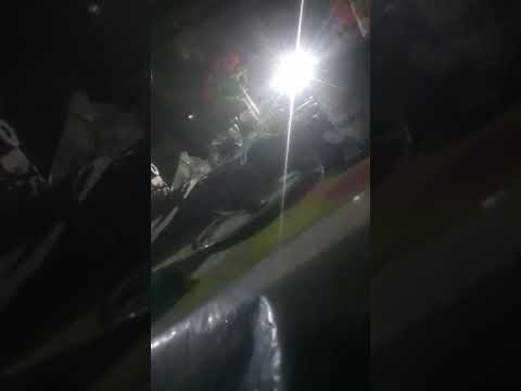 Видео: Эко_Вёска: Пани Дорота любит животных, но их ест ? В BLR лучше, уедет ? Антиполячка| Долги за ферму