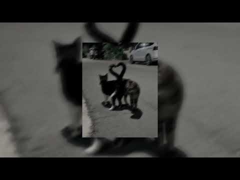 Видео: Ани Лорак-Знаю сердце может разорваться любя[😍] (speed up)