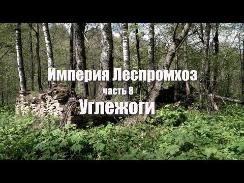 Видео: Углежоги