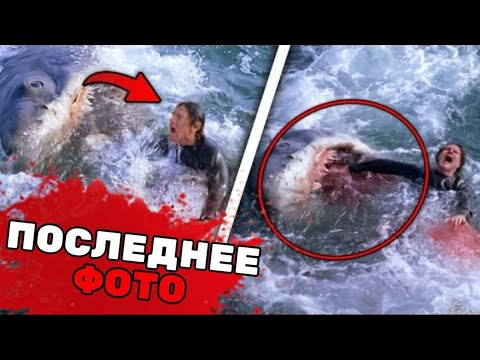 Видео: Акулы съели всю семью прямо в машине у берегов Австралии | Самые опасные моменты с дикими животными