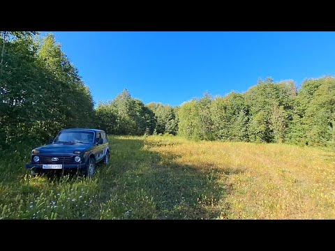 Видео: На Белое море на старой ниве. Часть 5 (конфликт с местными, кормим всех).