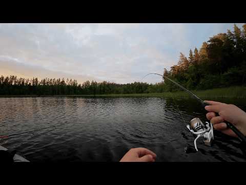 Видео: Рыбалки на неизвестном водоеме?  Экспериментируй!