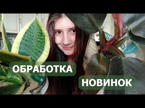 Видео: Обзор новинок и их жестокая(?) обработка