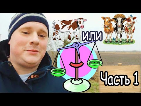 Видео: Часть 1 Почему не стоит держать только одну корову? / Куда девать молоко/ Расходы и доходы от продаж