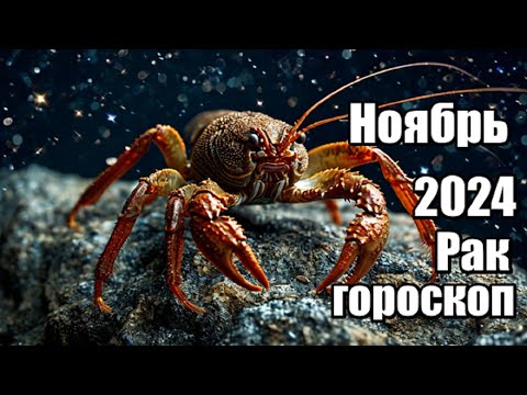 Видео: РАК - ГОРОСКОП НА НОЯБРЬ 2024 ♋