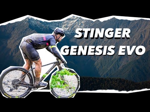 Видео: Stinger Genesis Evo 2024 Обзор от райдера