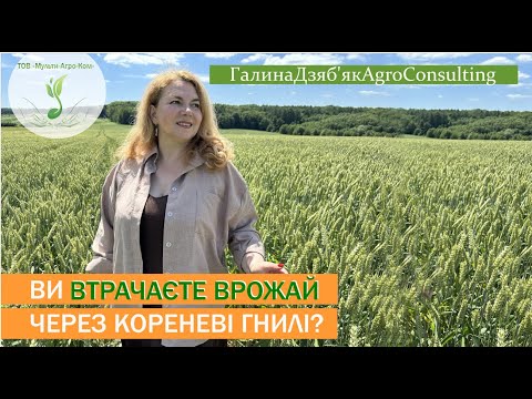 Видео: Комплекс осінніх заходів, щоб захистити зернові від кореневих гнилей