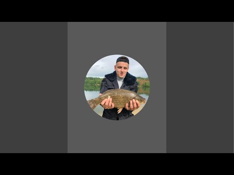 Видео: На рыбалке в ПОИСКАХ НАЛИМА!