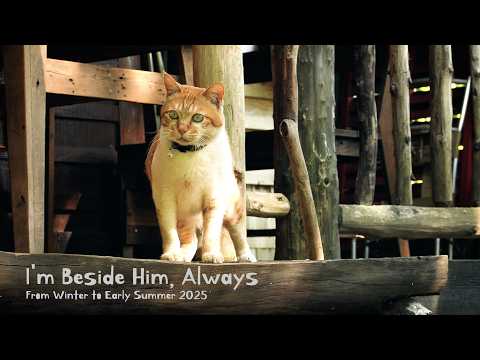 Видео: Я всегда рядом с ним | От зимы до начала лета 2025