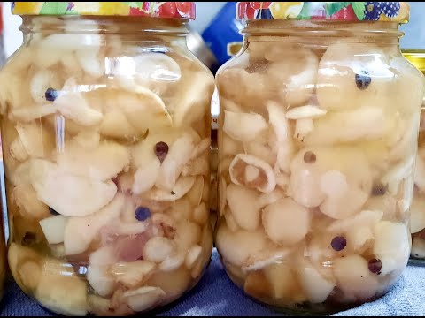 Видео: Маринованные маслята🍄🍄👍// маслята на зиму// прогулка в лесу