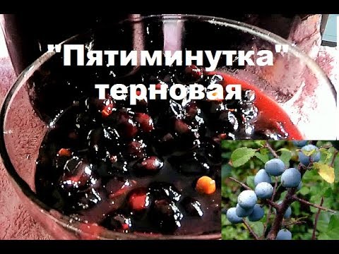 Видео: Быстрый рецепт варенья из тёрна