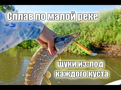 Видео: Щучий сплав по малой реке в жару