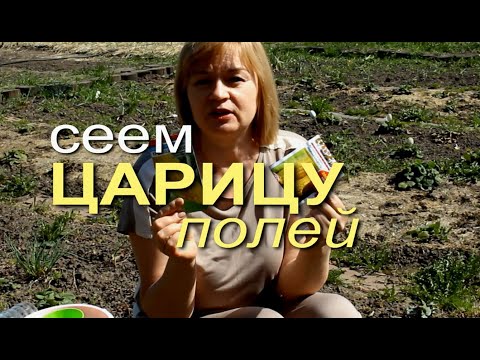 Видео: КУКУРУЗА! МАЛЕНЬКИЙ СОВЕТ - БОЛЬШОЙ УРОЖАЙ! Советы от ЗЕЛЕНОГО ОГОРОДА!