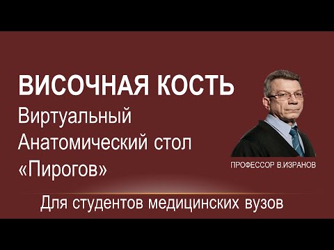 Видео: Височная кость.