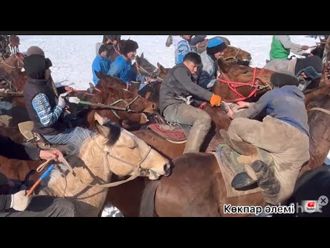 Видео: Сарсенбі көкпар 2003 жылғы жігіттердің  кұнан уйрету көкпар 🐴🔥Көкпар әлемі .