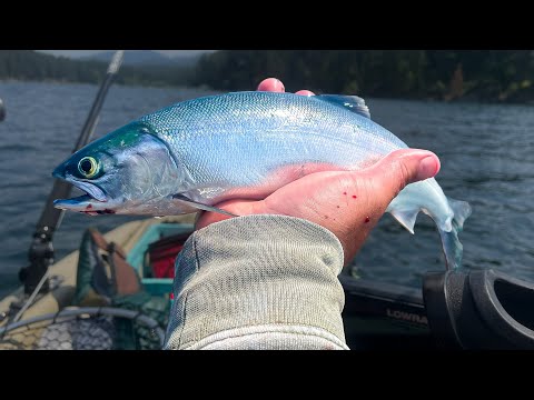 Видео: Три вещи, которые я хотел бы знать до рыбалки в Кокани!