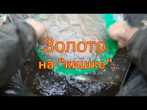 Видео: Как добыть золото. Биолокация III