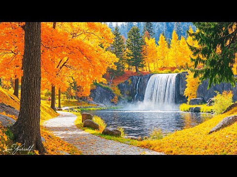 Видео: 【My Autumn】 Музыка исцеляет сердце🍁 Осенние мелодии для снятия стресса и исцеления