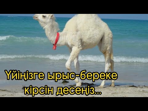 Видео: ҮЙІҢІЗГЕ ЫРЫС-БЕРЕКЕ КІРСІН ДЕСЕҢІЗ…